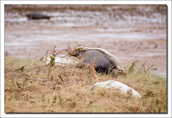 IMG_2567 5D